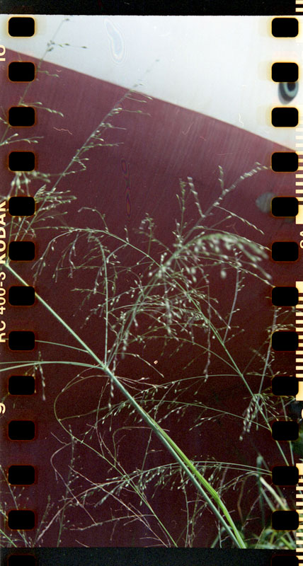 Wailua Sugar Mill, Hawaii. Lomo Lubitel 166+ © 2012 Bobby Asato