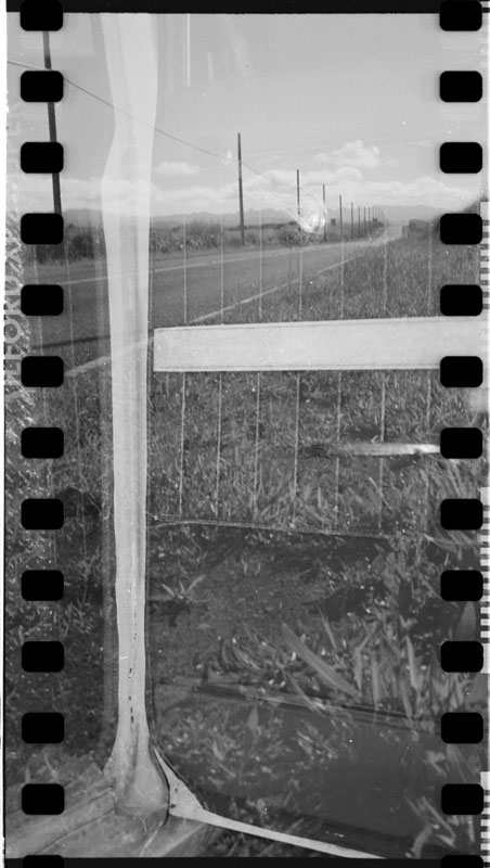 Hawaii. Lomo Lubitel 166+ © 2012 Bobby Asato