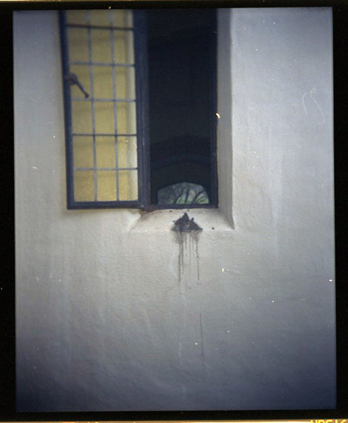 St. James Church, Hawaii. Holga 120 CFN © 2012 Bobby Asato