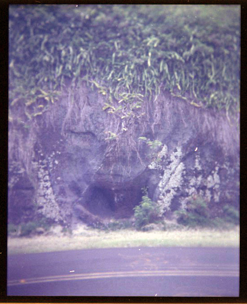 Tantalus, Hawaii. Holga 120 CFN © 2012 Bobby Asato