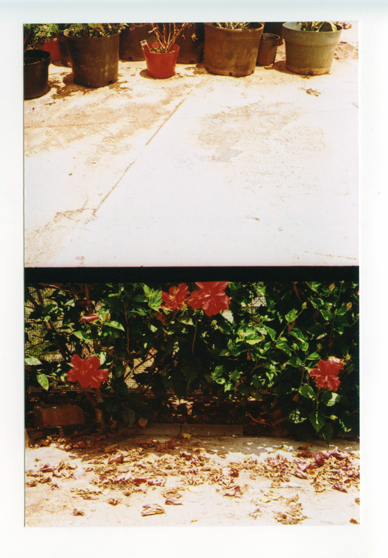Pearl City, Hawaii. Holga.  Agfa Parat I © 2012 Bobby Asato