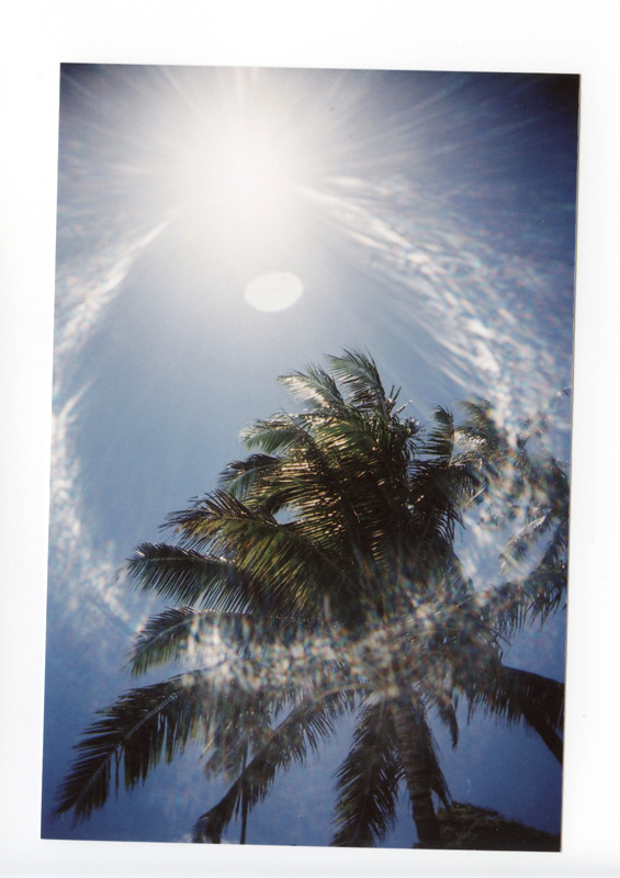 Diamond Head, Hawaii. Superheadz Black Devil Slim © 2012 Bobby Asato