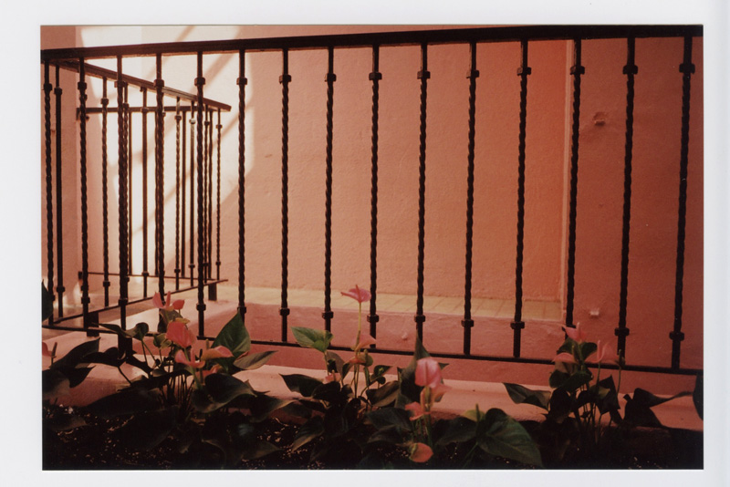Royal Hawaiian, Waikiki, Hawaii. Voigtlander Bessa R2 © 2012 Bobby Asato