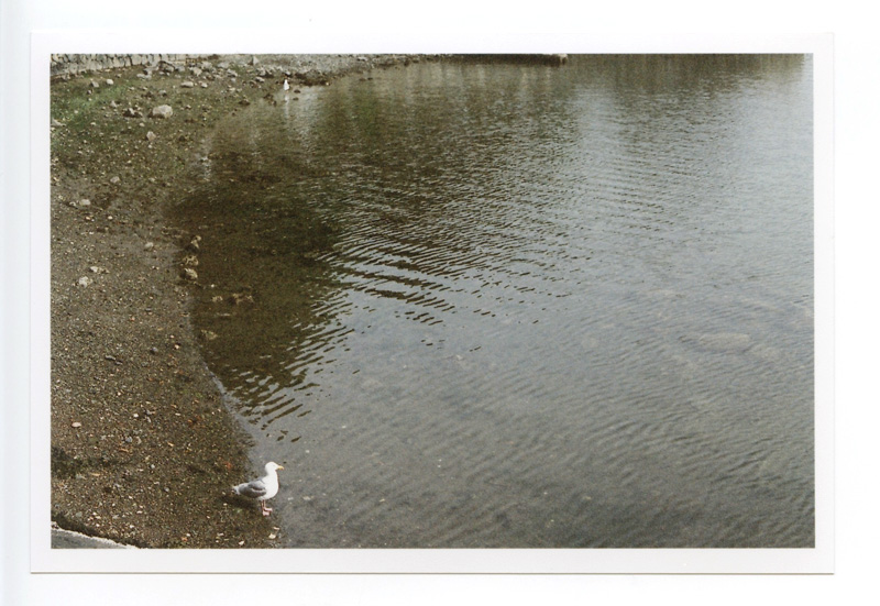 Victoria Island. Canon A-1 © 2012 Bobby Asato