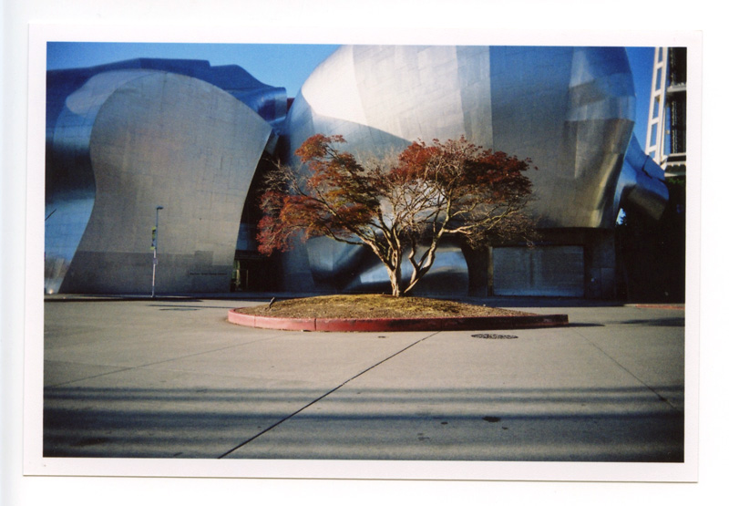 EMP, Seattle. Superheadz Black Slim Devil © 2012 Bobby Asato