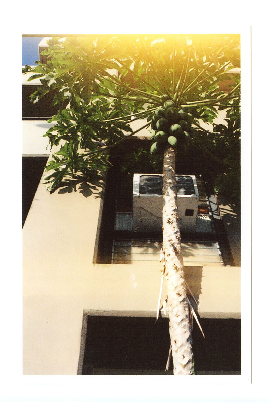 Hawaii.  Voigtlander Bessa R2 © 2012 Bobby Asato