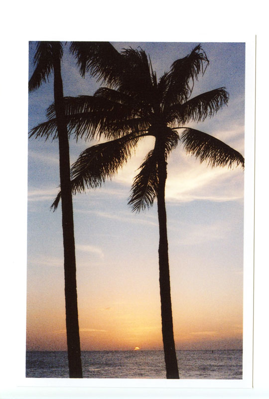 Kaka'ako Beach Park, Hawaii.  Voigtlander Bessa R2 © 2012 Bobby Asato