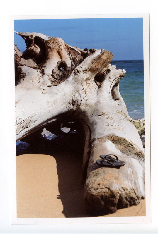 Kapaa, Kauai, Hawaii.  Canon F-1 original © 2013 Bobby Asato