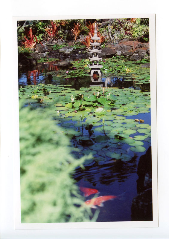 Kapaa, Kauai, Hawaii.  Canon F-1 original © 2013 Bobby Asato