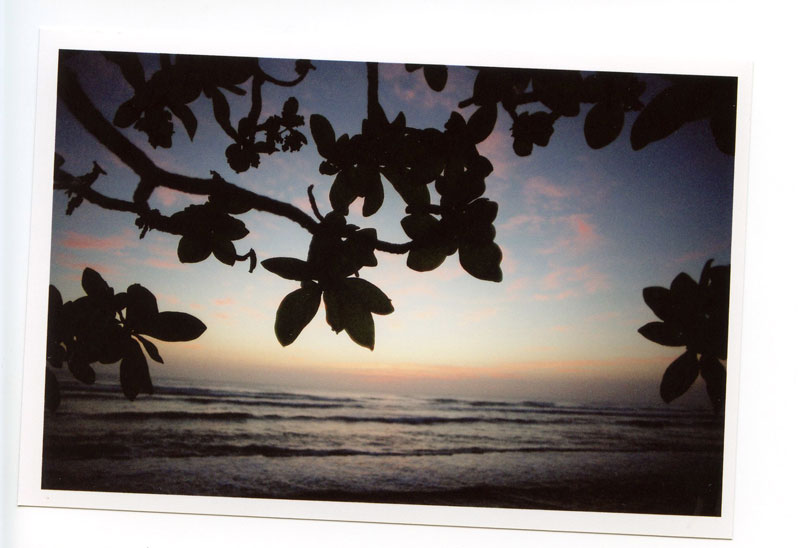 Kauai Beach Resort, Lihue, Kauai, Hawaii.  Canon F-1 original © 2013 Bobby Asato