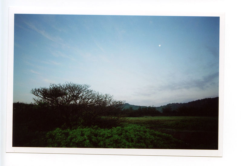 Kauai Beach Resort, Lihue, Kauai, Hawaii.  Canon F-1 original © 2013 Bobby Asato