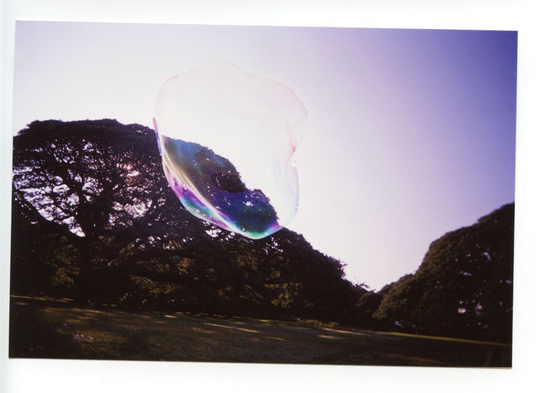 Moanalua Gardens, Hawaii.  Superheadz Last Camera © 2013 Bobby Asato