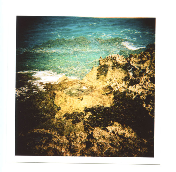 Kaena Point, Hawaii.  Holga 120 CFN © 2013 Bobby Asato