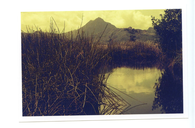 Kawai Nui Marsh Trail, Kailua, Hawaii.  Voigtlander Bessa R3A © 2013 Bobby Asato