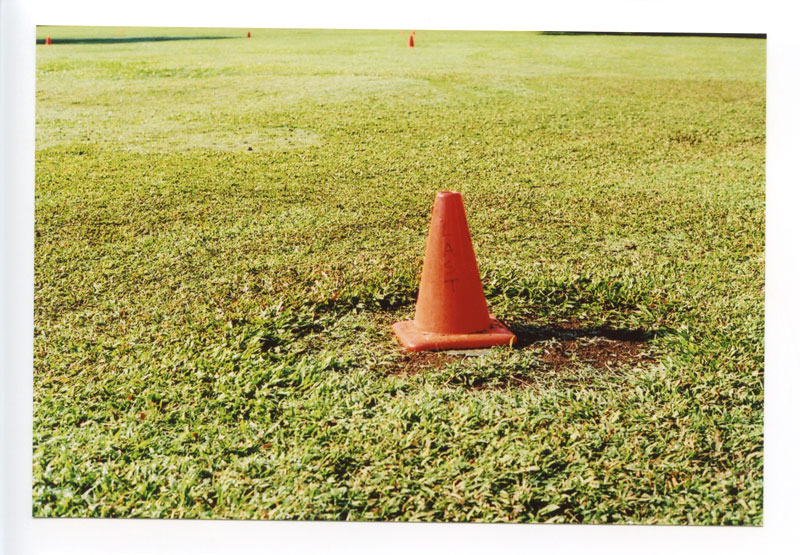 Moanalua Gardens, Hawaii.  Voigtlander Bessa R2 © 2013 Bobby Asato