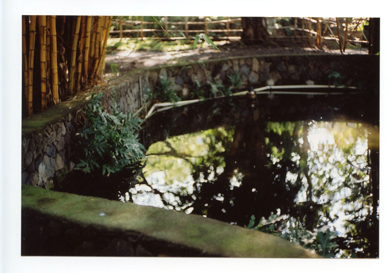 Moanalua Gardens, Hawaii.  Voigtlander Bessa R2 © 2013 Bobby Asato