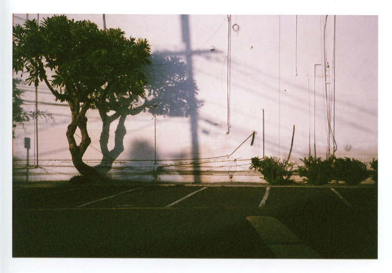 Kaka'ako, Hawaii.  Olympus XA2 © 2013 Bobby Asato