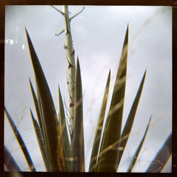 Kaena Point, North Shore, Hawaii. Diana F+ © 2013 Bobby Asato