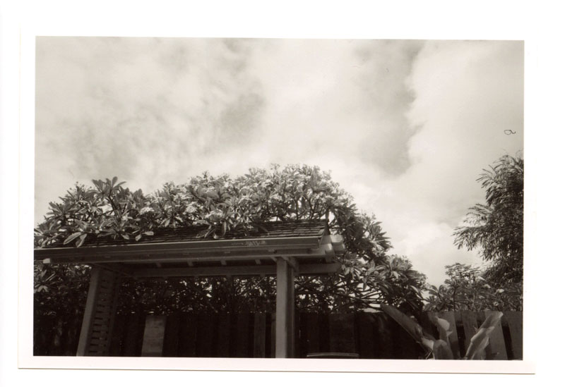 Kailua, Hawaii. Ricoh GR-1 © 2013 Bobby Asato