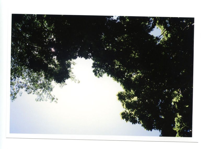 Wahiawa Botanical Gardens, Hawaii. Olympus XA © 2013 Bobby Asato